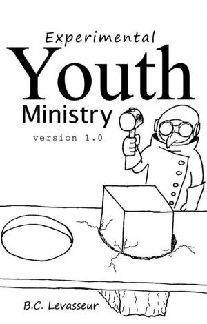 Cover of the book Experimental Youth Ministry by Paul Andrson