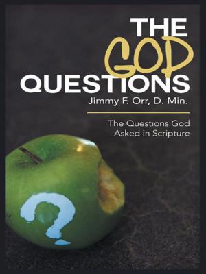 Cover of the book The God Questions by Dave Hamer