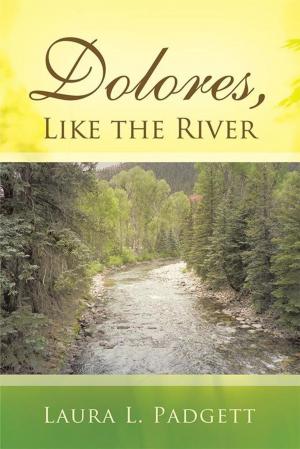 Cover of the book Dolores, Like the River by Larry Meyer