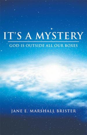 Cover of the book It's a Mystery by Mike Allen