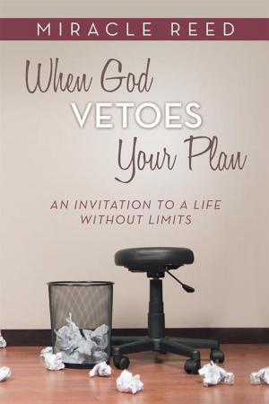 Cover of the book When God Vetoes Your Plan by Kitt Swanson