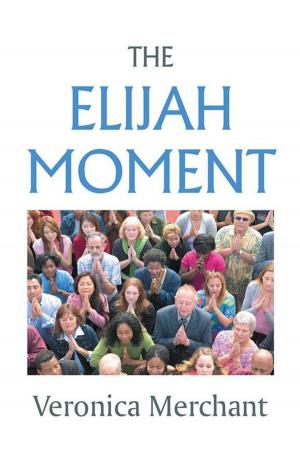 Cover of the book The Elijah Moment by Cho Larson