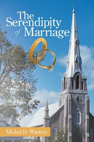 bigCover of the book The Serendipity of Marriage by 