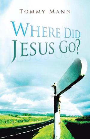 Cover of the book Where Did Jesus Go? by R.I.Johnston
