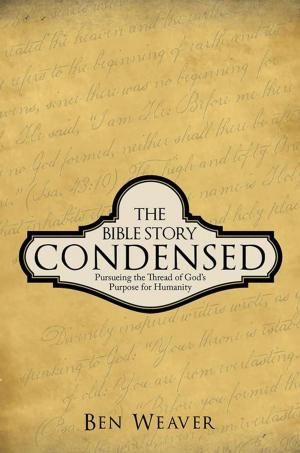Book cover of The Bible Story Condensed