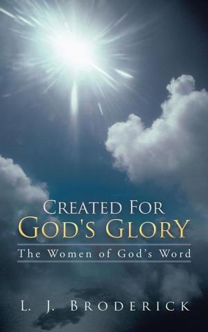 Cover of the book Created for God's Glory by Christian Clingman