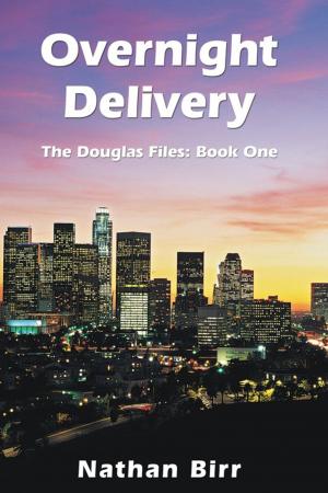 Cover of the book Overnight Delivery by Aartje Walters