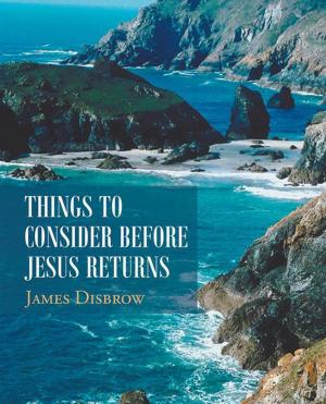 Cover of the book Things to Consider Before Jesus Returns by Ingo Swann