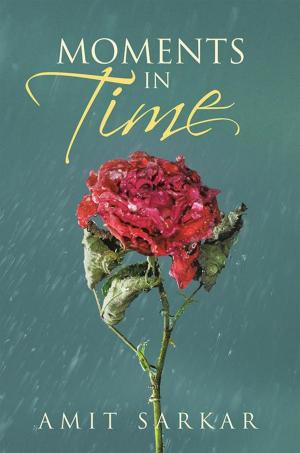Cover of the book Moments in Time by Terry Leeder