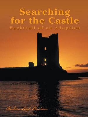 Cover of the book Searching for the Castle by Isaac Benatar