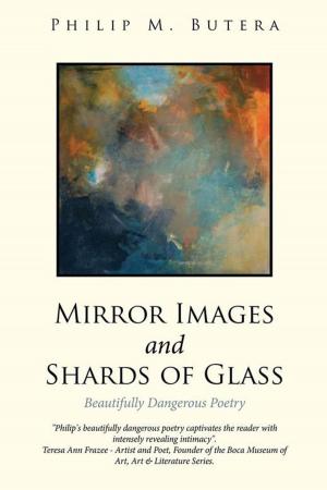 Book cover of Mirror Images and Shards of Glass