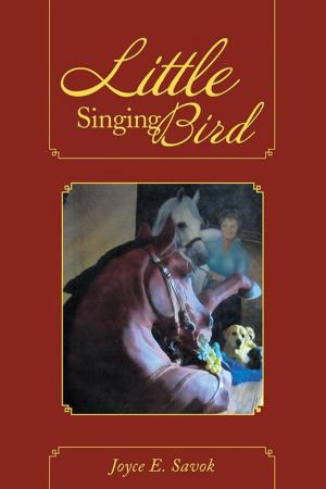 Cover of the book Little Singing Bird by Armando Monroy