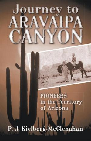 Cover of the book Journey to Aravaipa Canyon by M. Apodaca
