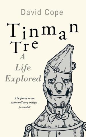 Cover of the book Tinman Tre by Doug Arch