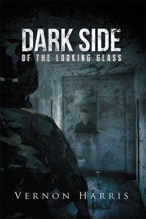 Cover of the book Dark Side of the Looking Glass by Scott Ludwig