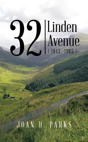 Book cover of 32 Linden Avenue