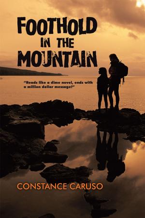 Cover of the book Foothold in the Mountain by Larry English