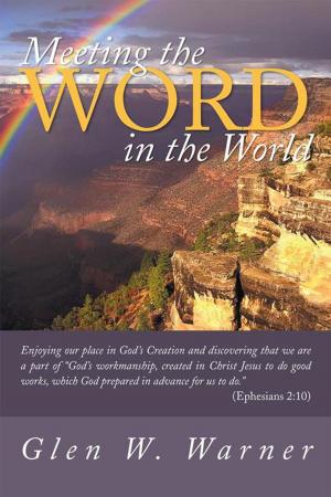 Cover of the book Meeting the Word in the World by Arlene Frances
