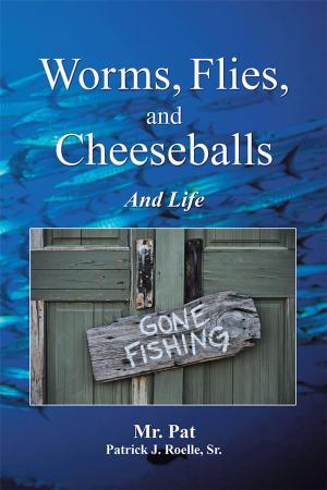 Cover of the book Worms, Flies, and Cheeseballs by J.J. Olsen