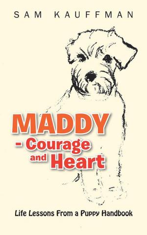 Cover of the book Maddy - Courage and Heart by Doug Dial