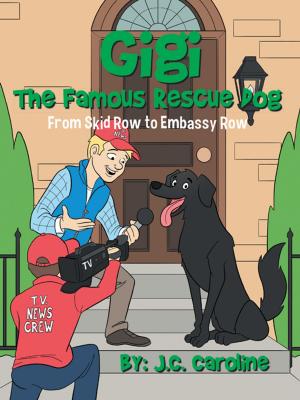 Cover of the book Gigi the Famous Rescue Dog by Susanna Rogers