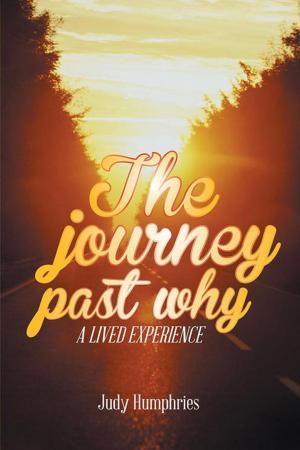 Cover of the book The Journey Past Why by Shane Russell