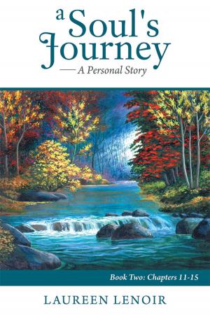 Cover of the book A Soul's Journey: a Personal Story by Caleb Lott