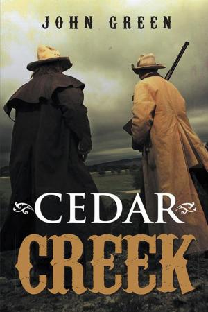 Cover of the book Cedar Creek by Brigitta Gisella Geltrich-Ludgate