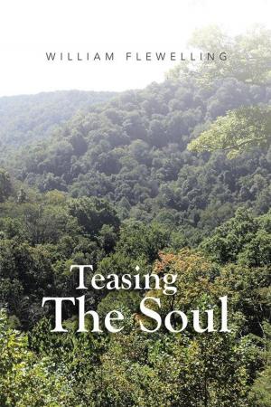 Book cover of Teasing the Soul