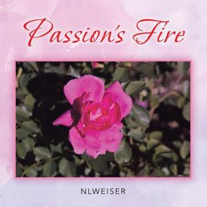 Cover of the book Passion's Fire by Joseph F. Ruggiero
