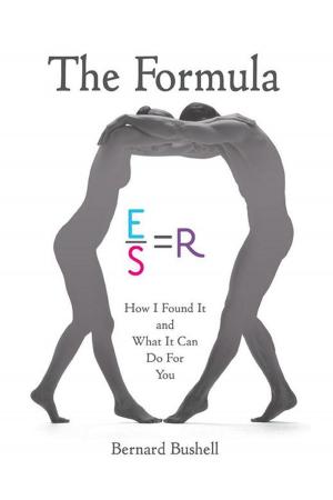 Cover of the book The Formula by Nancy N. Jordan