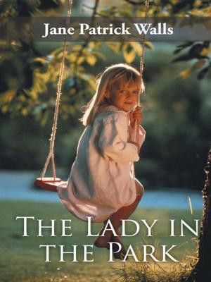 Book cover of The Lady in the Park