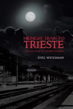 Cover of the book Midnight Train to Trieste by Heather Valenzuela