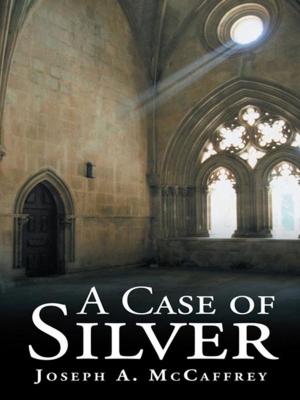 Cover of the book A Case of Silver by Gérard de Villiers