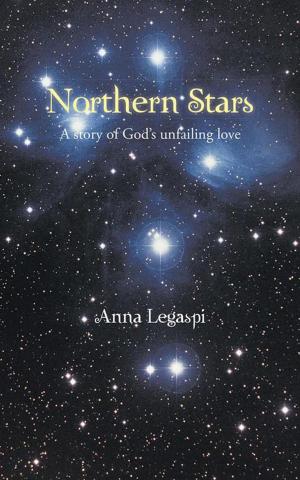 bigCover of the book Northern Stars by 