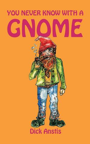 Cover of the book You Never Know with a Gnome by Joseph Godson Amamoo