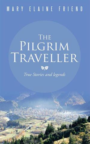 Cover of the book The Pilgrim Traveller by Massoud Eghrari
