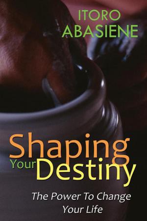 Cover of the book Shaping Your Destiny by Linda Odolofin.