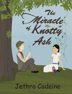 Cover of the book The Miracle of Knotty Ash by Yinka A. Amuda