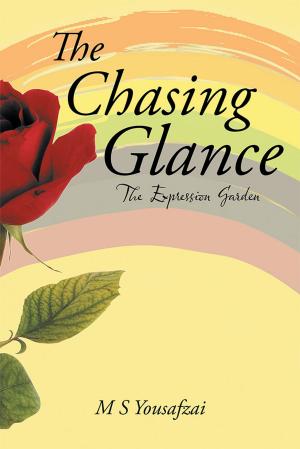Cover of the book The Chasing Glance by Shel Weissman