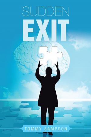 Cover of the book Sudden Exit by Nicole Crosbourne