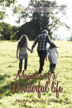 Cover of the book Memoirs of a Wonderful Life by Chris Dahi