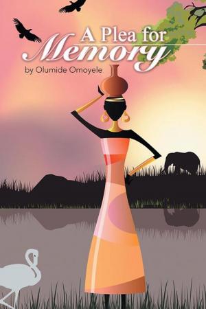 Cover of the book A Plea for Memory by James Burk
