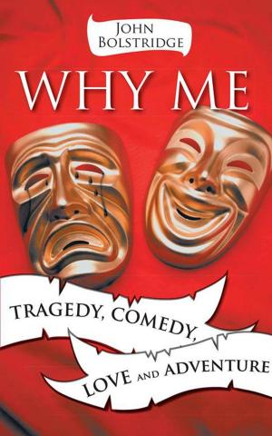 Cover of the book Why Me by J.N Halm