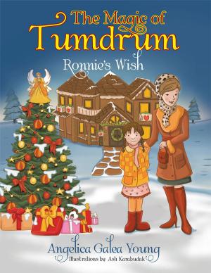 bigCover of the book The Magic of Tumdrum by 
