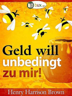 Cover of the book Geld will unbedingt zu mir by Andre Michaud