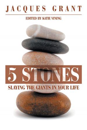 Cover of the book 5 Stones by Herbert L. Green Jr.