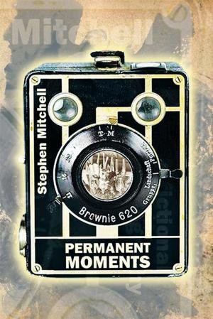 Cover of the book Permanent Moments by Lisa Bonavita