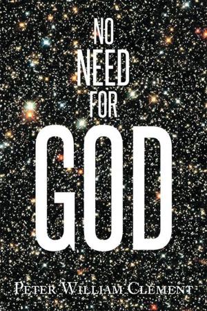 Cover of the book No Need for God by Richard V. Martin