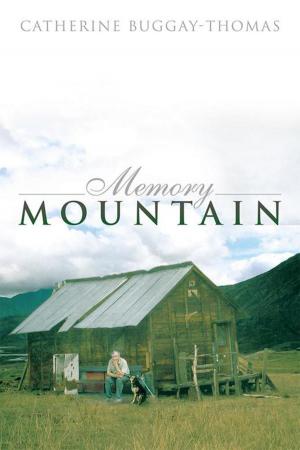 Cover of the book Memory Mountain by John Ashton Hester